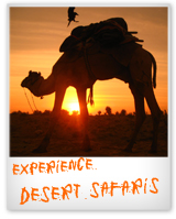 EXPERIENCE Desert Safaris